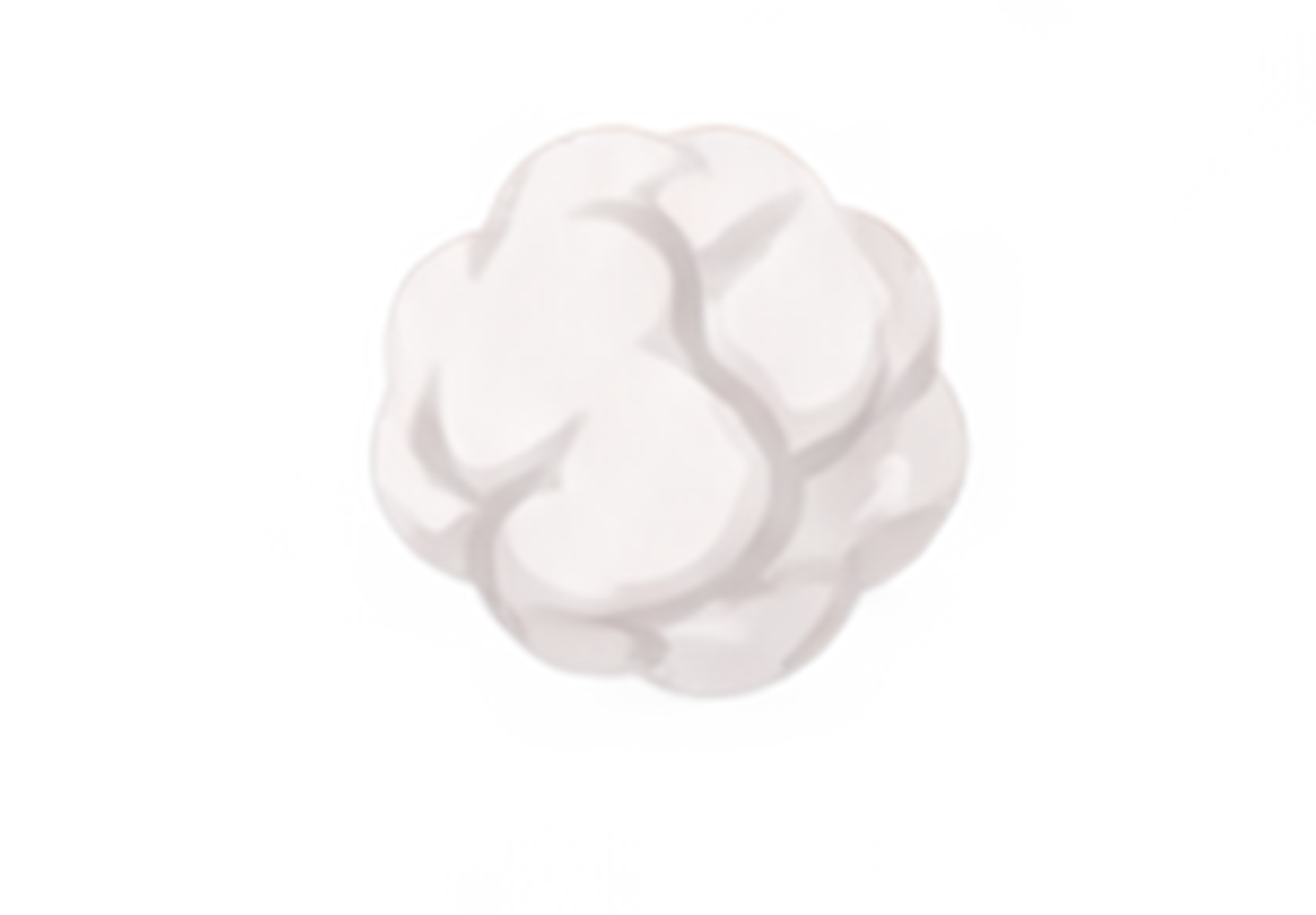 prop